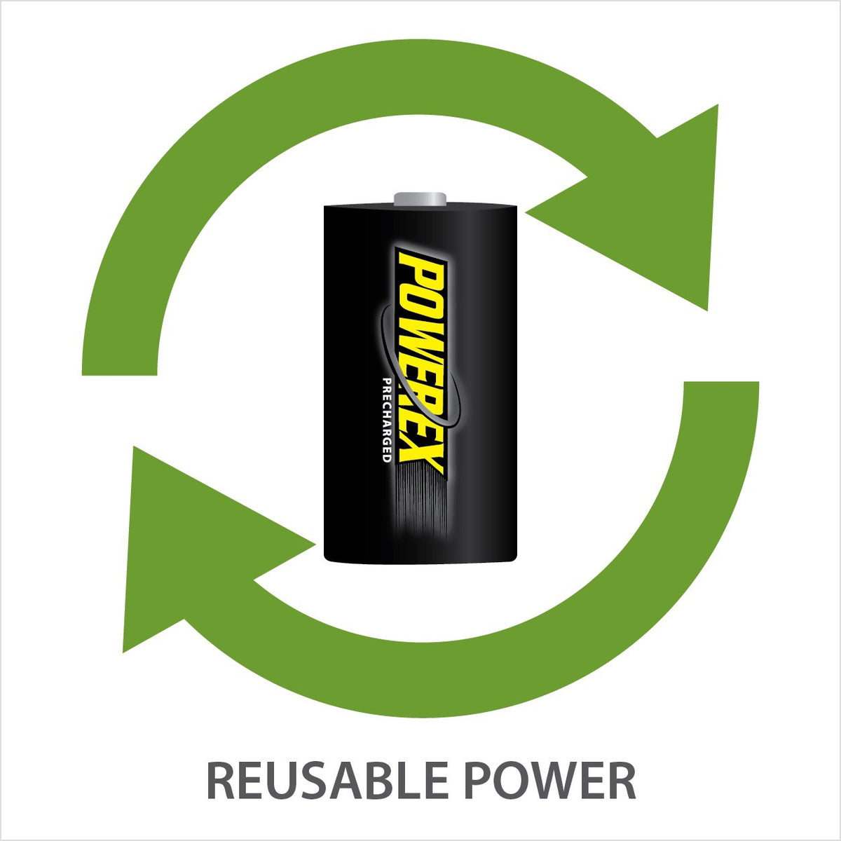 Rechargeable NiMH D Batteries 2-pack V141
