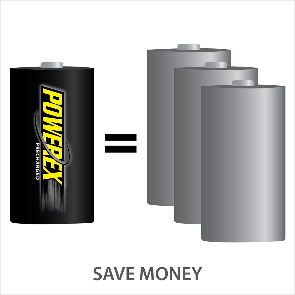 Rechargeable NiMH D Batteries 2-pack V141