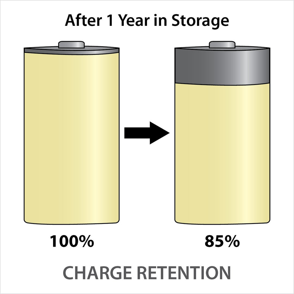 Rechargeable NiMH D Batteries 2-pack V141