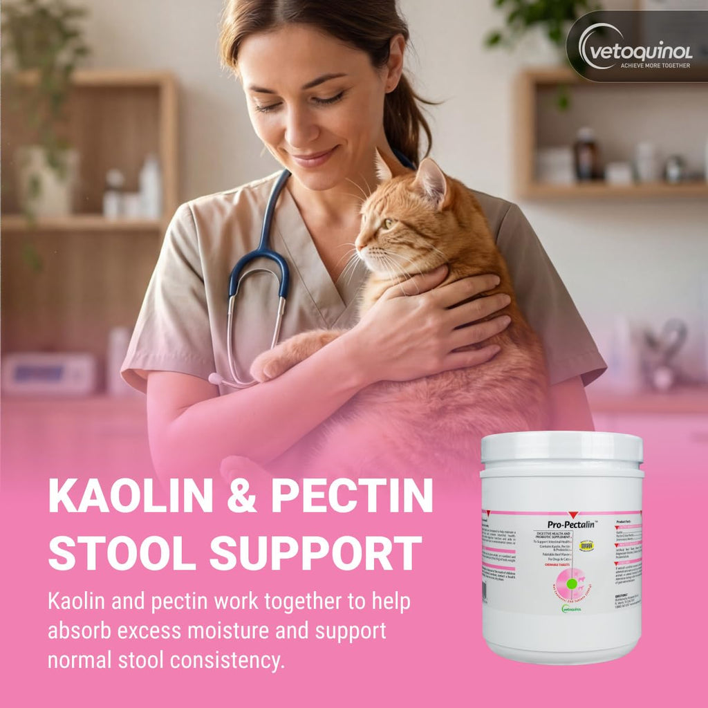 Chewable Probiotic for Pets 250 Count U28540