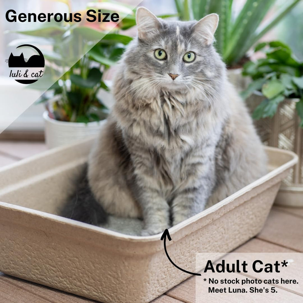 Disposable Litter Boxes 4-Pack R738