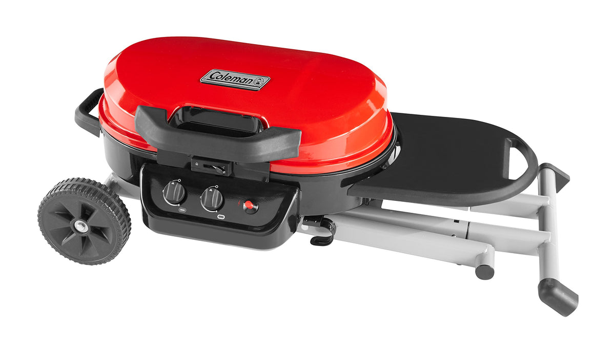 Portable 2-Burner Propane Gas Grill B661842
