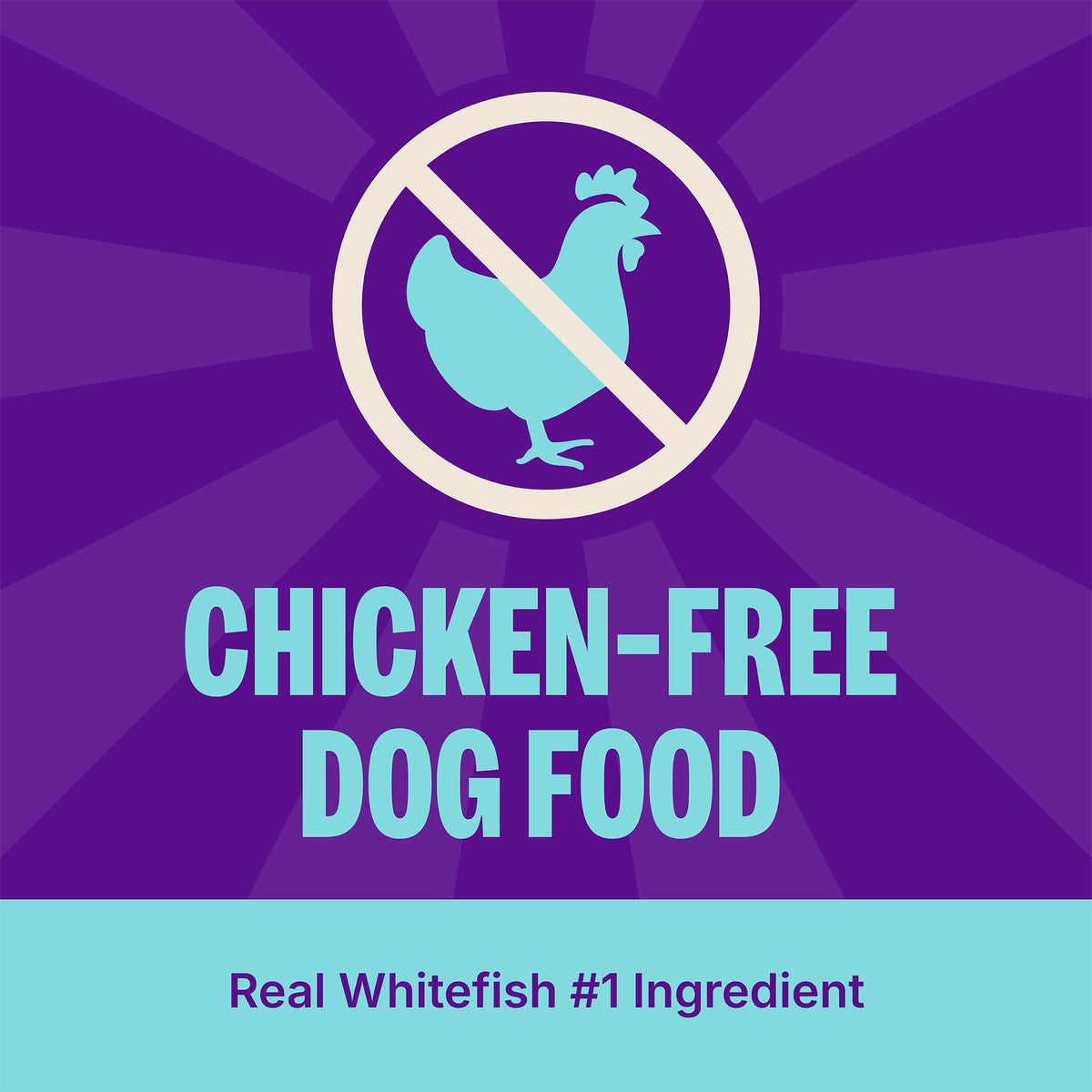Dry Dog Food Whitefish and Brown Rice 4 lb Bag G72102
