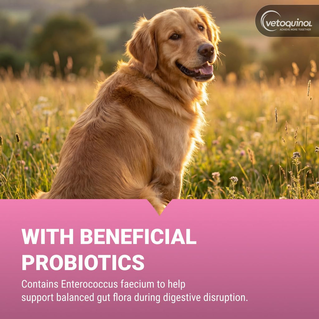 Chewable Probiotic for Pets 250 Count U28540