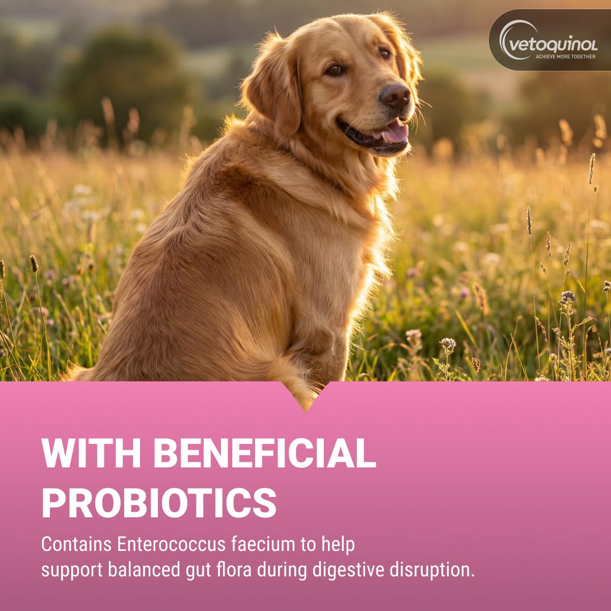 Chewable Probiotic for Pets 250 Count U28540