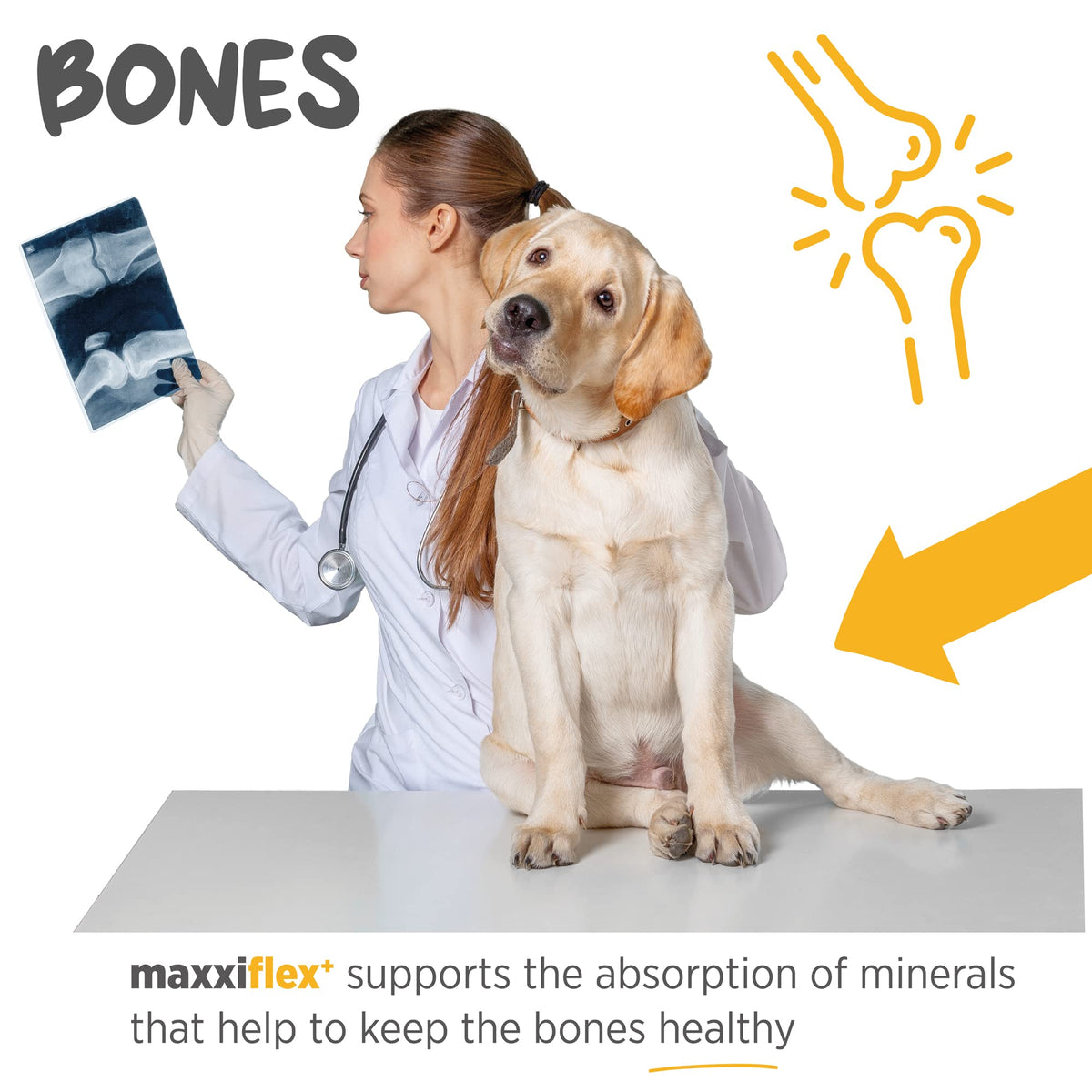 Dog Hip & Joint Support Glucosamine & Collagen 120ct K215