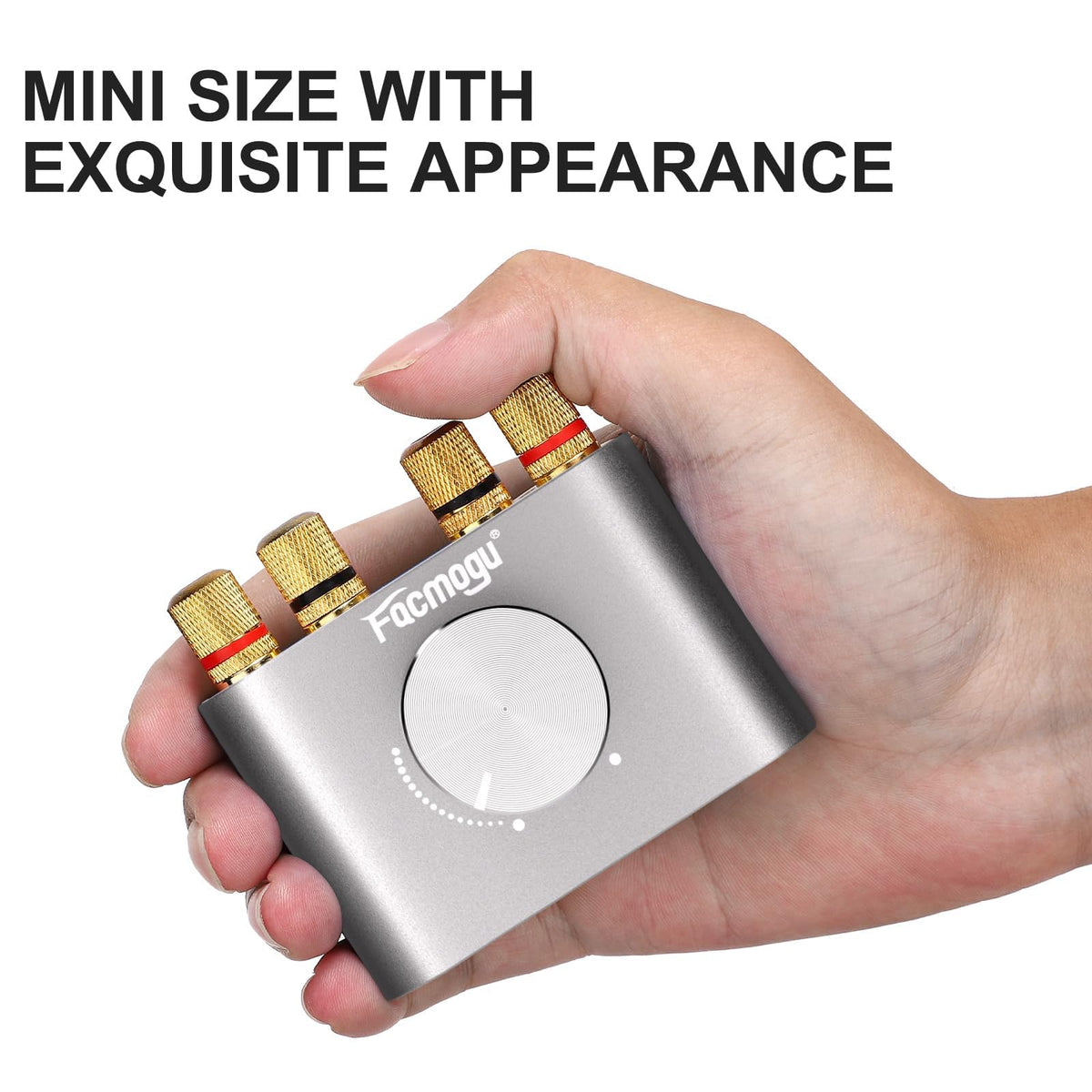 Bluetooth 5.0 Mini Power Amplifier B22136