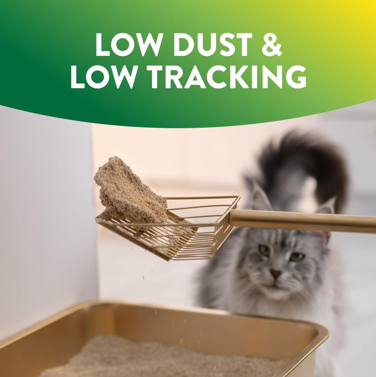 Plant-Based Clumping Cat Litter Unscented 15 Lbs F604823