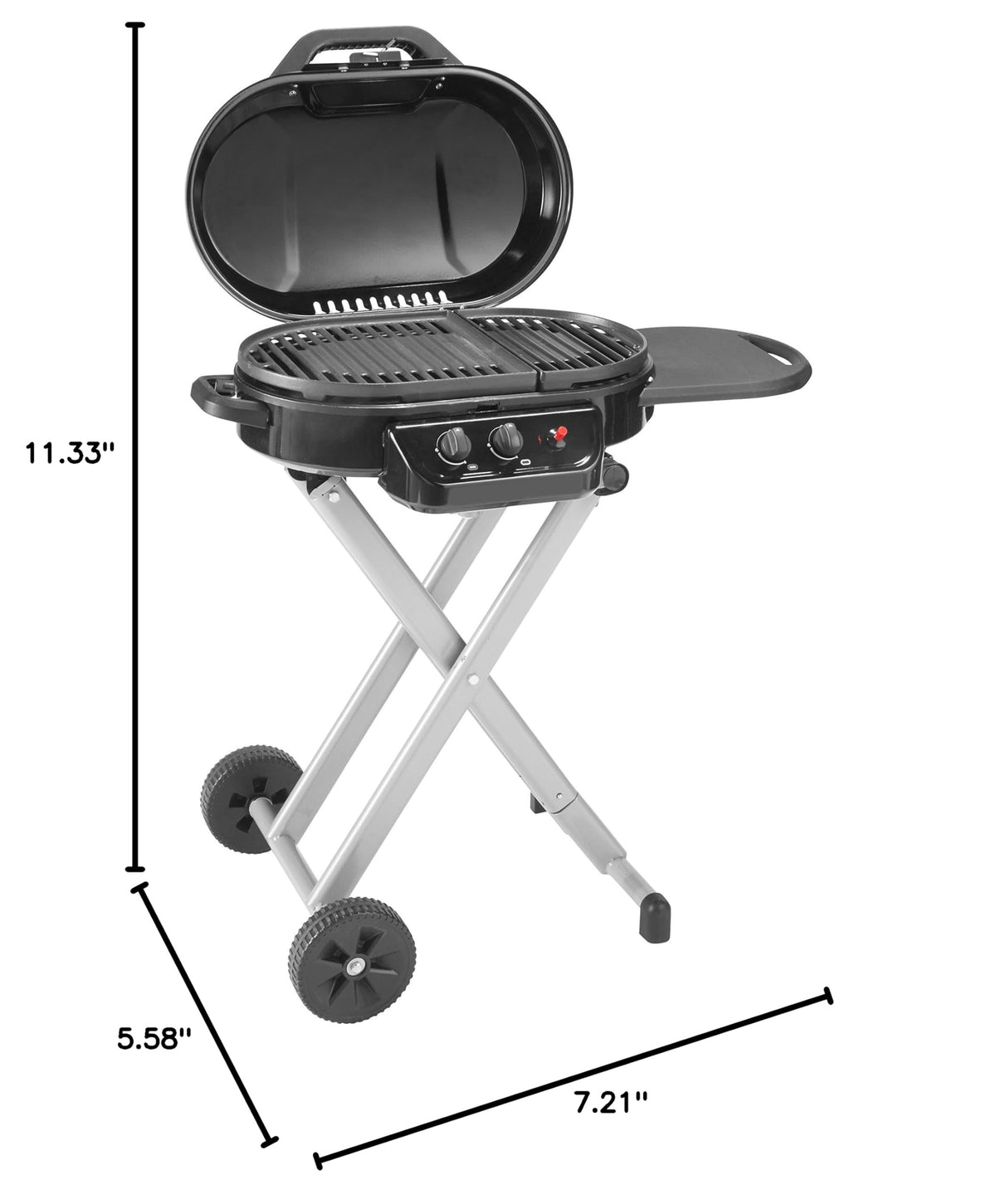 Portable 2-Burner Propane Gas Grill B661842