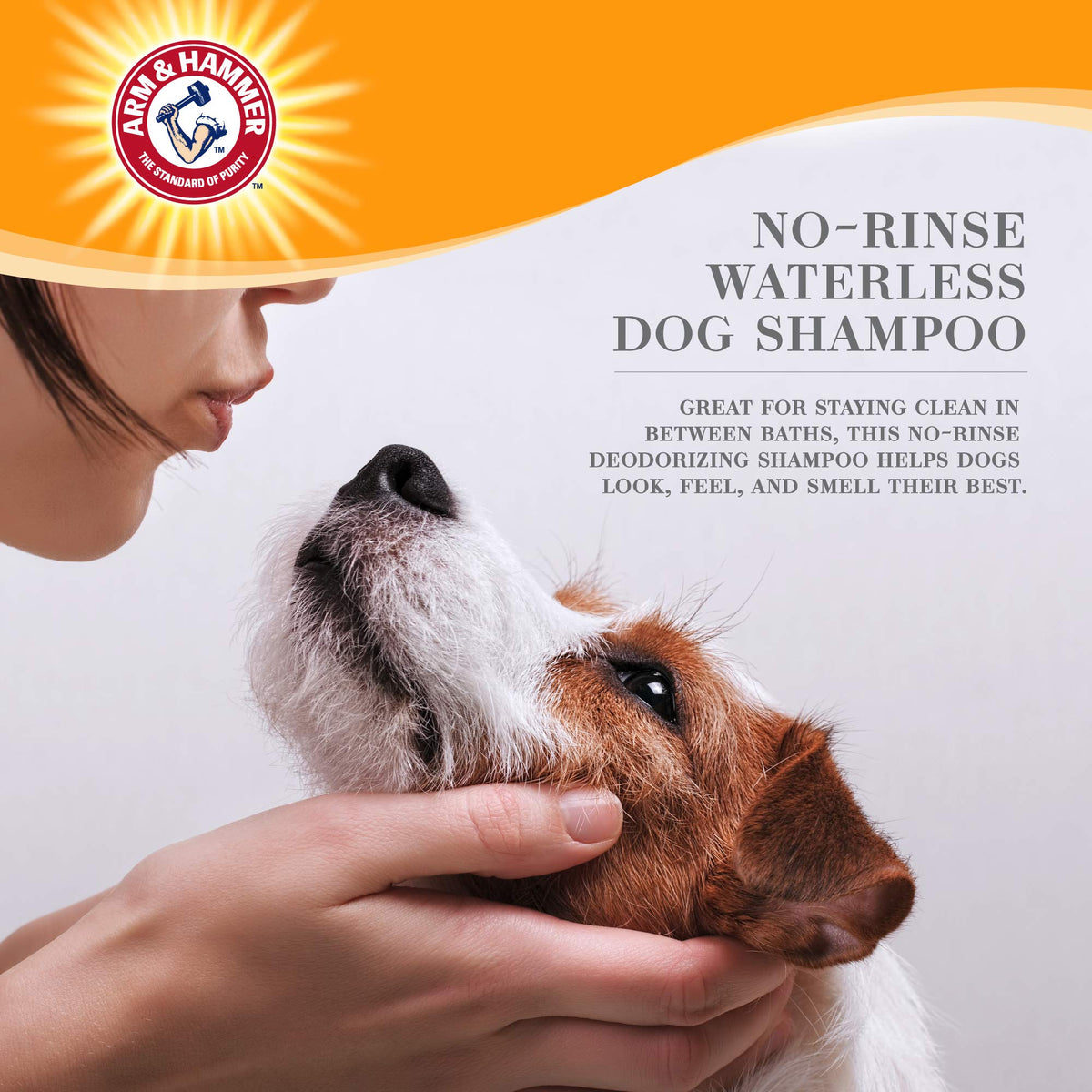 Waterless Dog Shampoo Foam 8 Fl Oz U743606