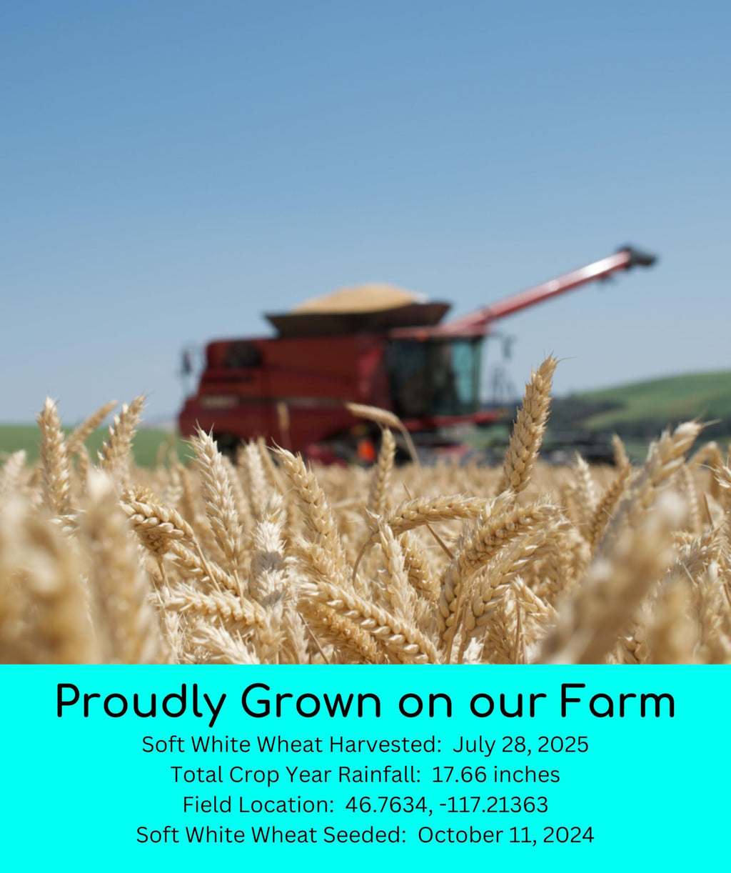 White Red Wheat Berries 100 LBS 4-25 lb bags F85700
