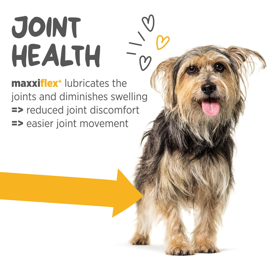 Dog Hip & Joint Support Glucosamine & Collagen 120ct K215