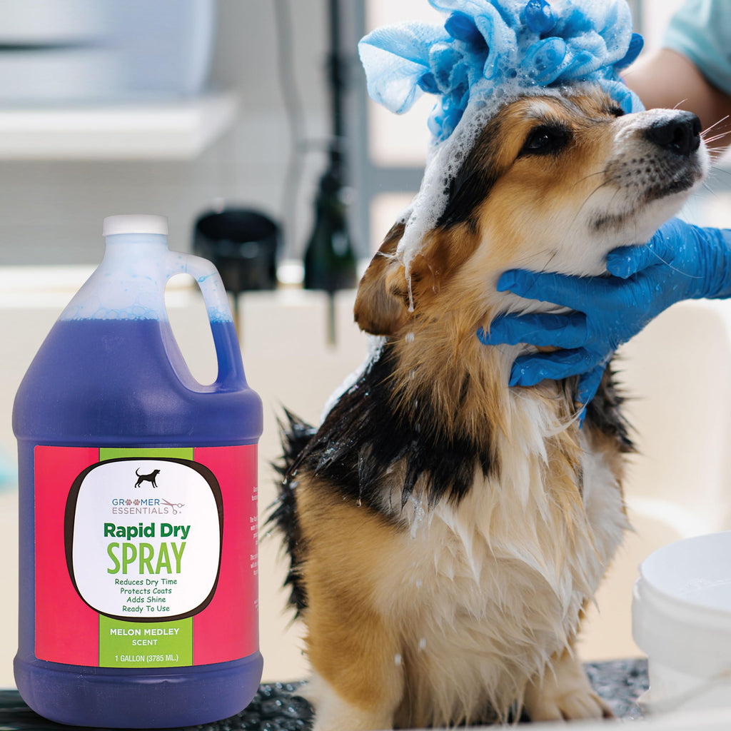 Rapid Dry Spray Gallon N2468