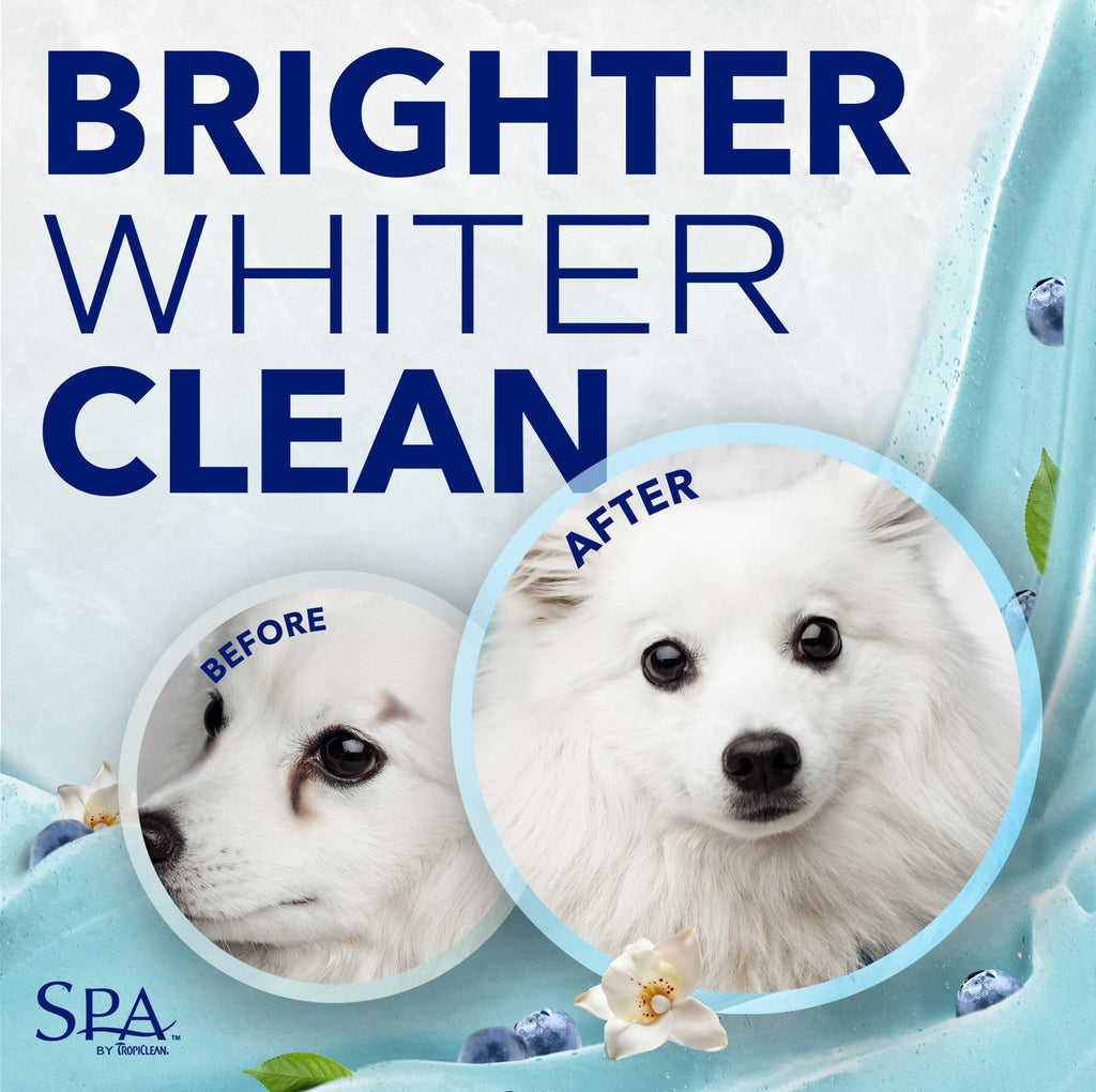 Blueberry Tear Stain Remover Dog Shampoo 8oz P797