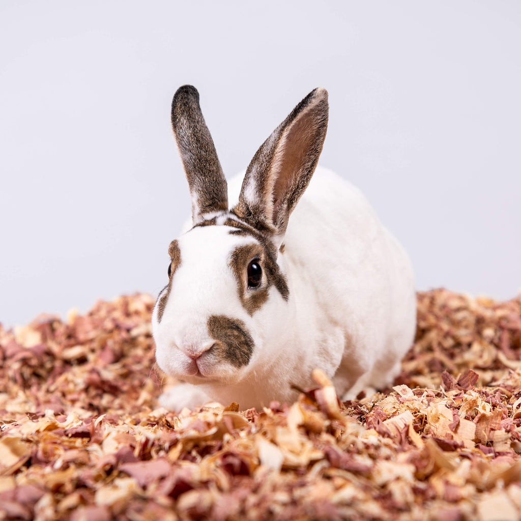 Red Cedar Pet Bedding 24 L O9844