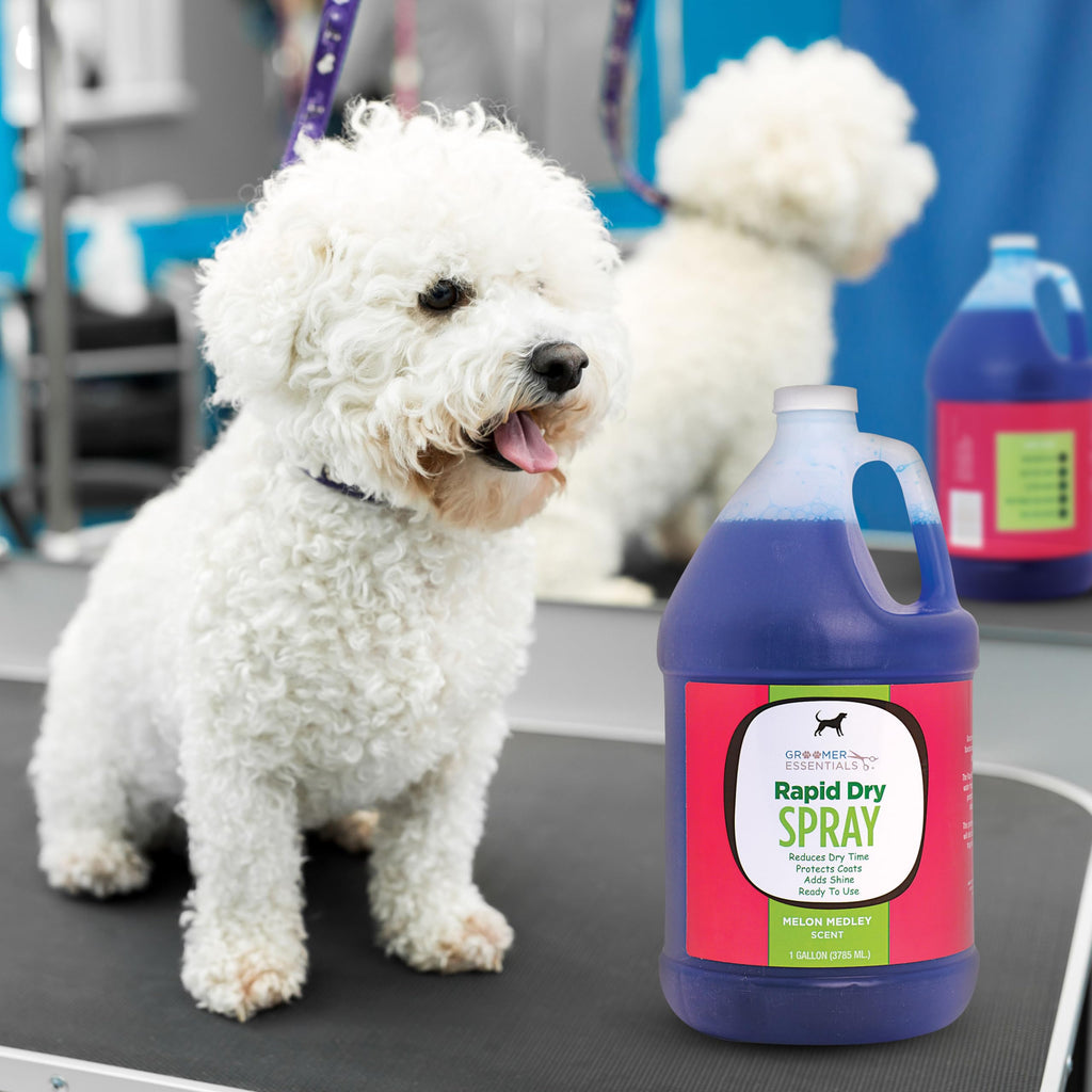 Rapid Dry Spray Gallon N2468