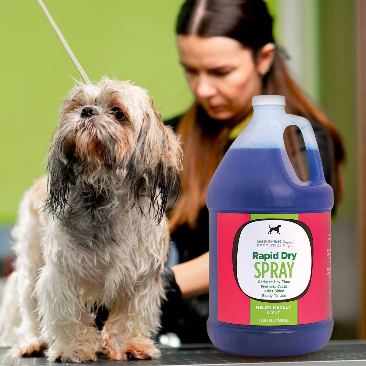Rapid Dry Spray Gallon N2468