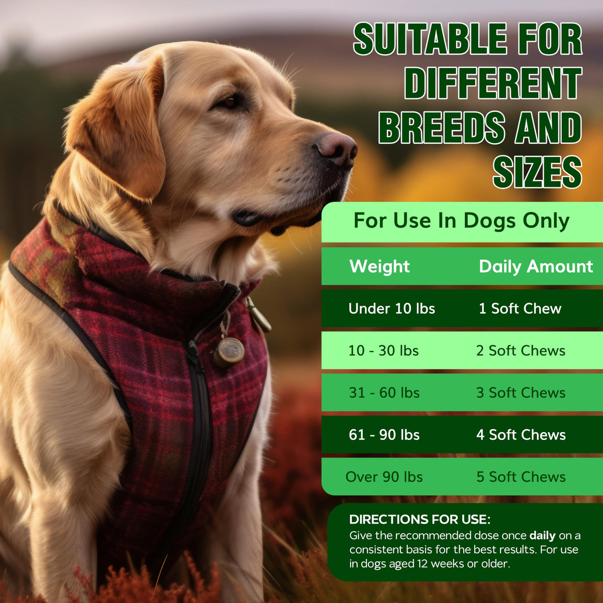Flea and Tick Chewables for Dogs Chicken 120 Soft Treats S7111