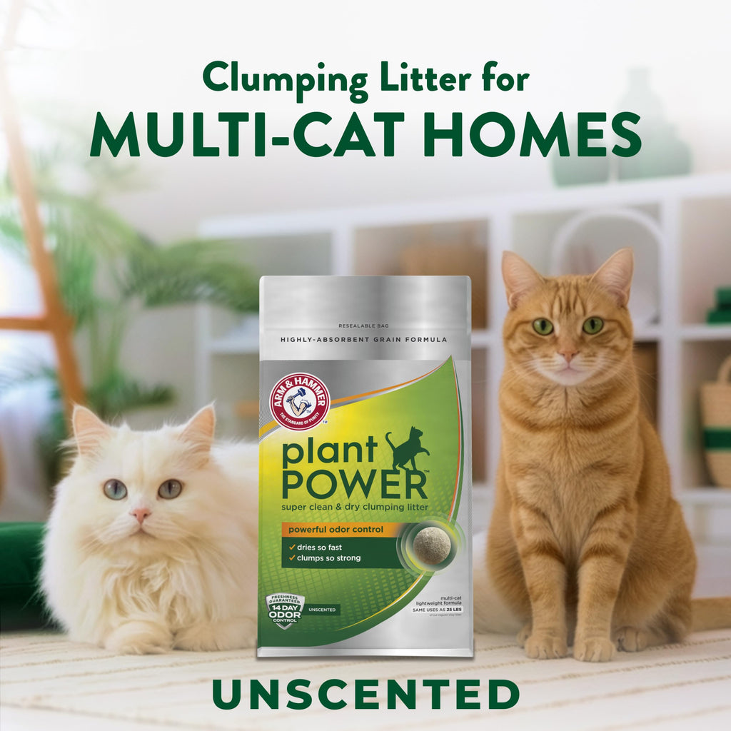 Plant-Based Clumping Cat Litter Unscented 15 Lbs F604823