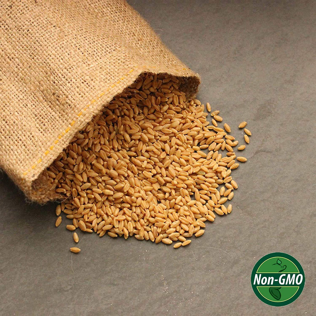 Organic Whole Wheat Kernels 2.5 Lb Non-GMO Hard White P343820