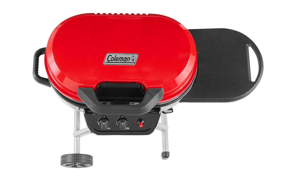 Portable 2-Burner Propane Gas Grill B661842