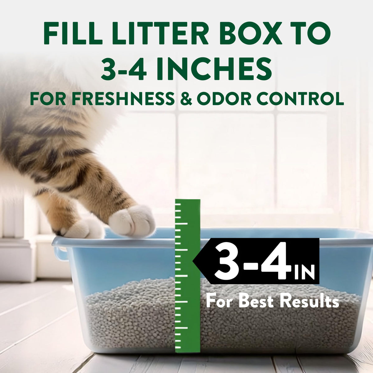 Plant-Based Clumping Cat Litter Unscented 15 Lbs F604823