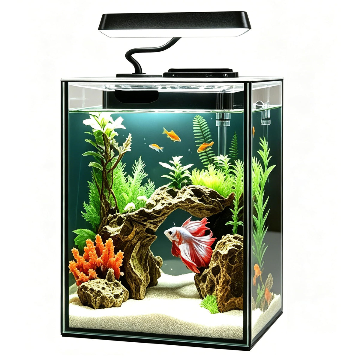 1.5 Gallon Glass Betta Aquarium Starter Kit with LED Light and Power Filter Z918