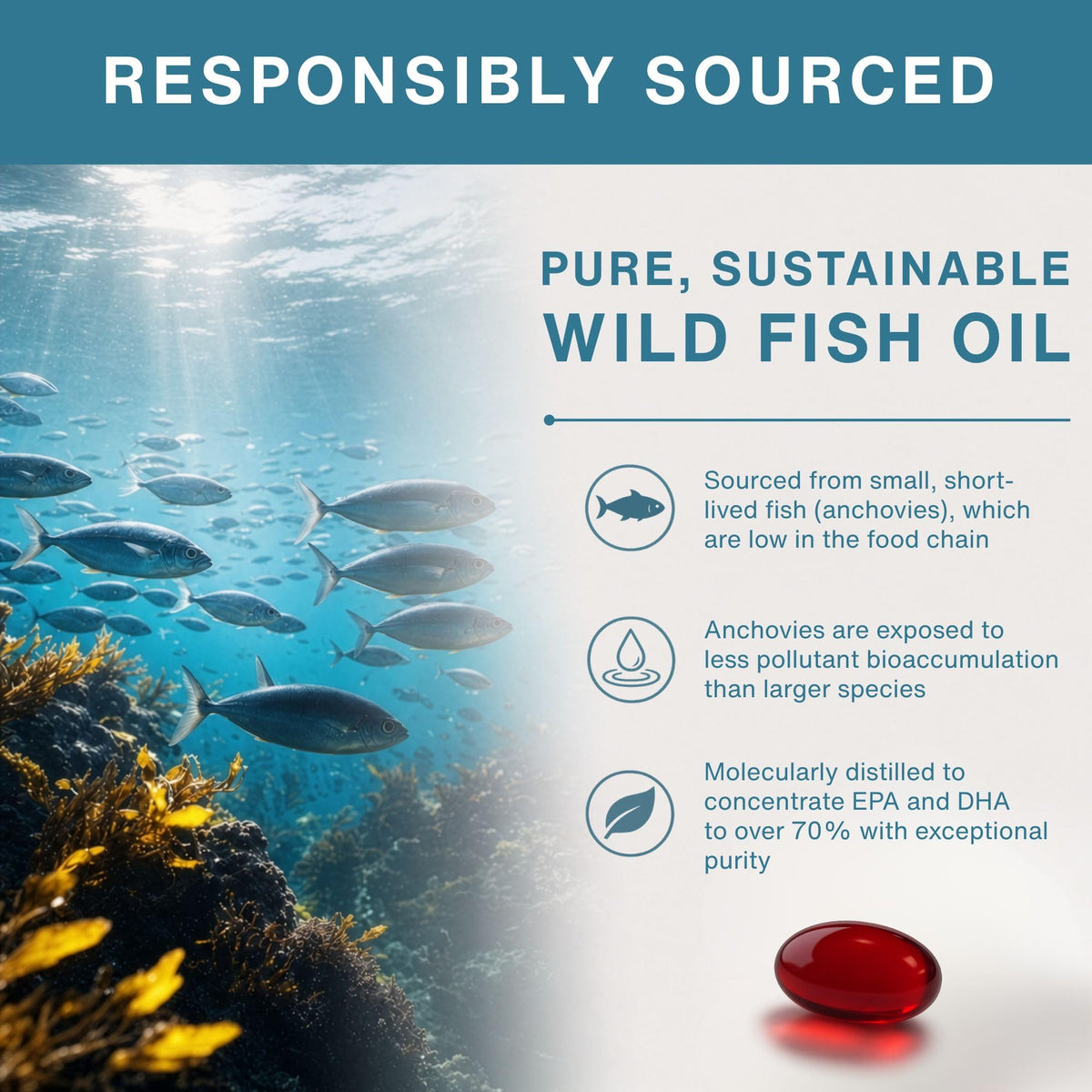 Wild Fish Oil 1360mg R4524