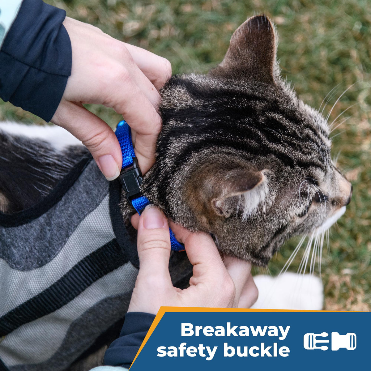 Personalized Cat Collars with Breakaway Safety Release Buckle M874962