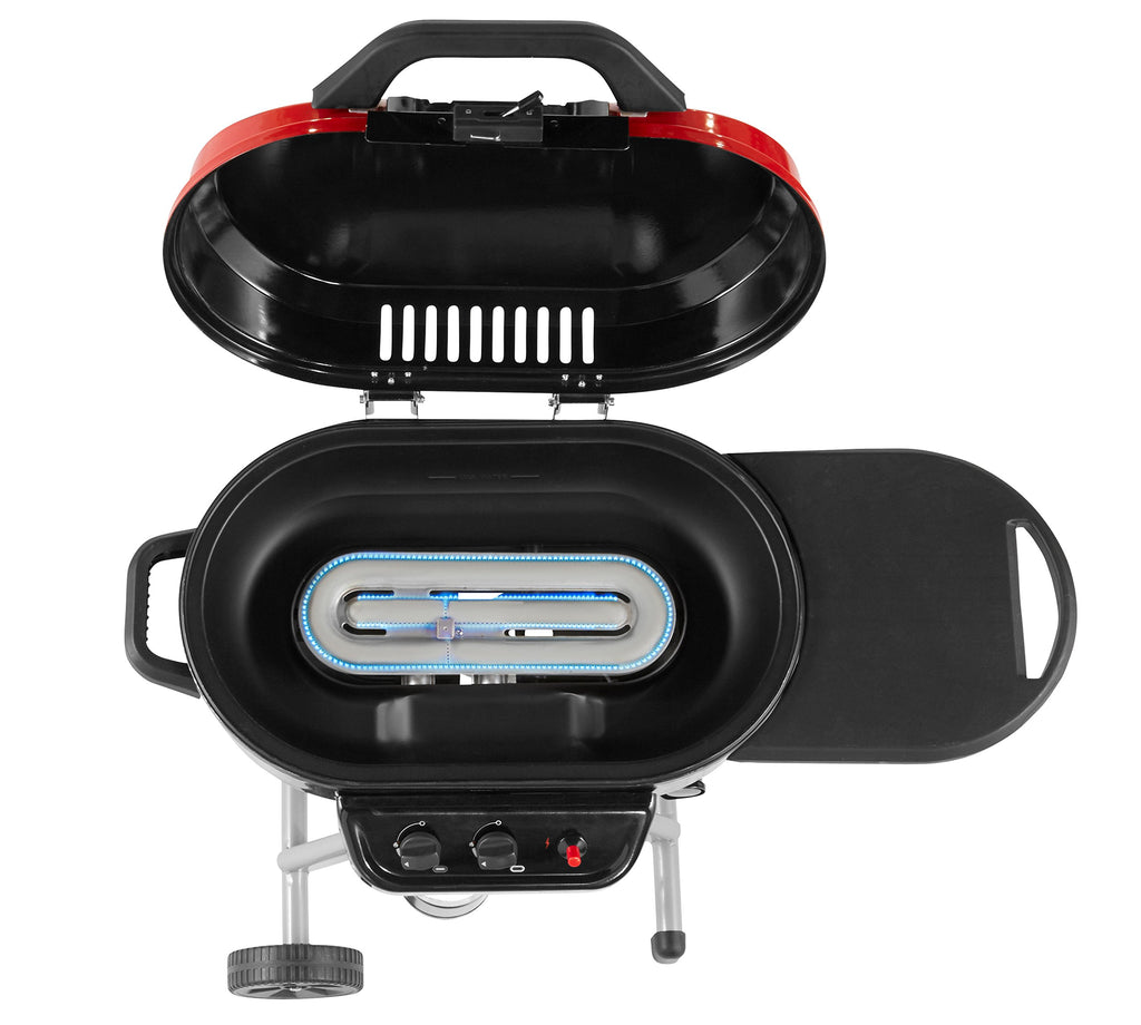 Portable 2-Burner Propane Gas Grill B661842