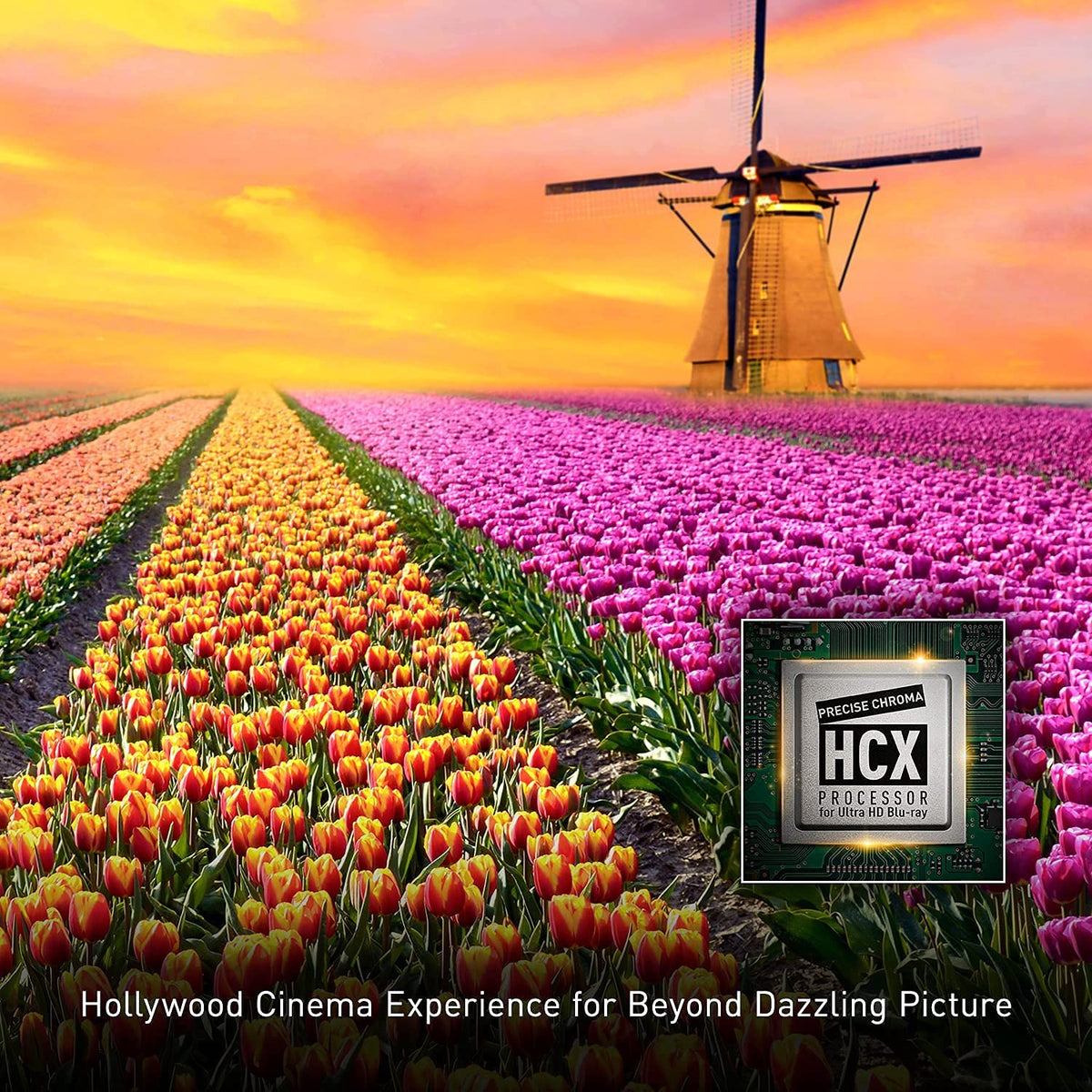 Ultra HD Blu-ray Player D20937