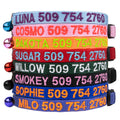 Personalized Cat Collars with Breakaway Safety Release Buckle M874962