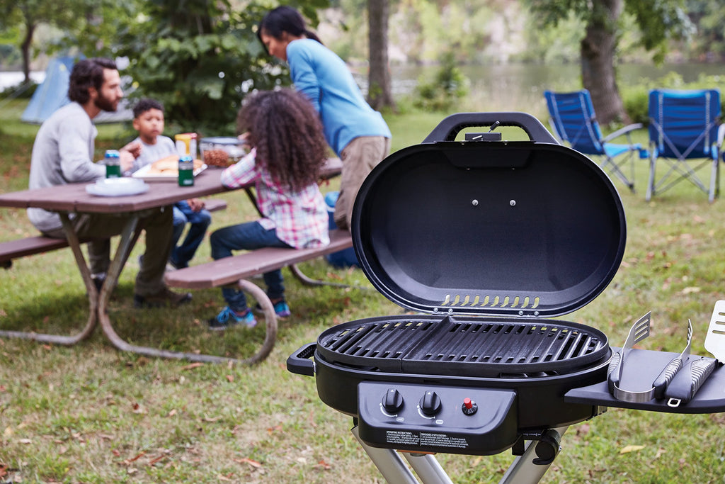 Portable 2-Burner Propane Gas Grill B661842