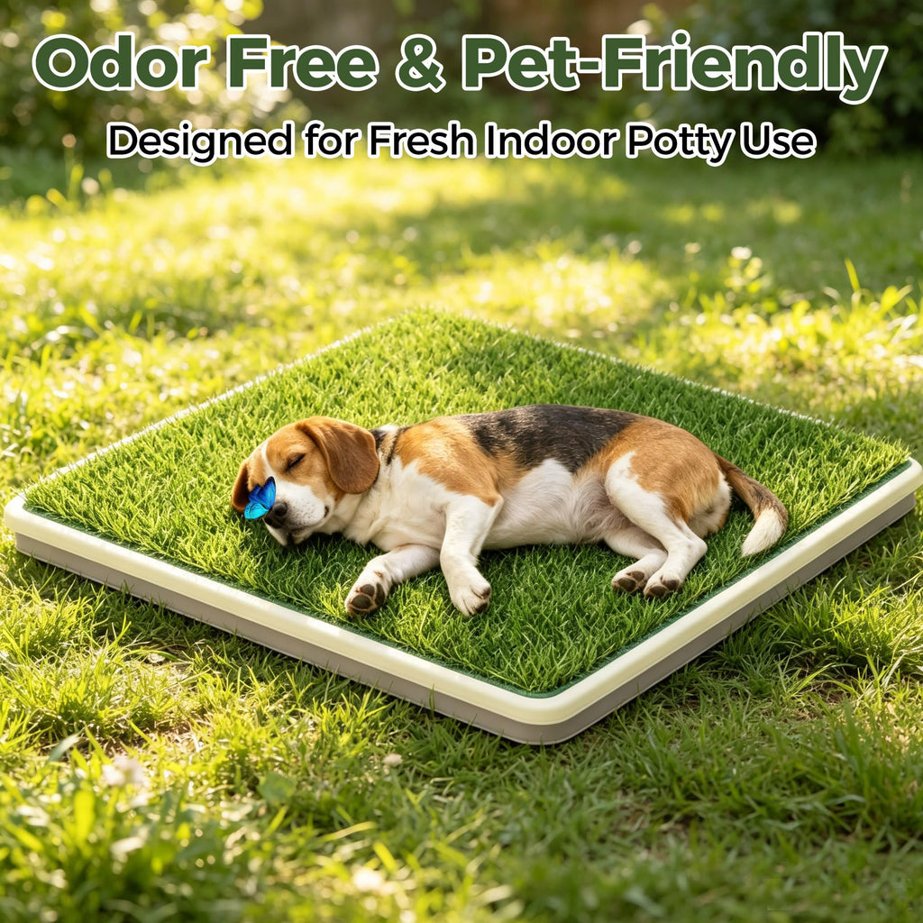 Dog Grass Pad with Tray, 2 Washable Grass Pads U629