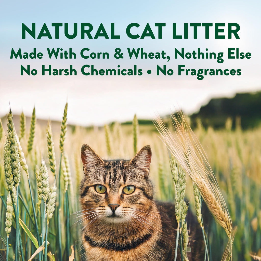 Plant-Based Clumping Cat Litter Unscented 15 Lbs F604823