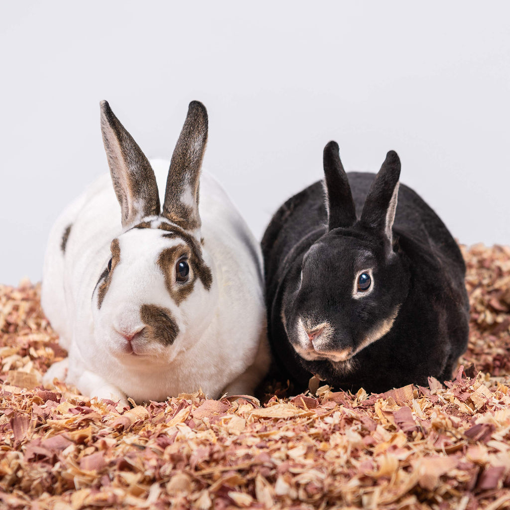 Red Cedar Pet Bedding 24 L O9844